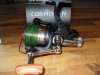 C._Pro_Carp_BR_8000_4_klein.jpg