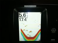 Humminbird 2.jpg