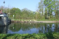 Illerkanal 2011 009.jpg