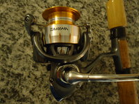 daiwa freams 002.jpg