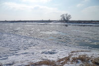 Eis auf der Elbe 002.JPG