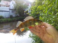 20120520_192219.jpg