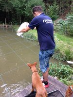 Blick Richtung Ablauf großer Teich.jpg