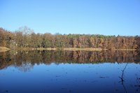 Priestersee bei Grünheide 5.JPG