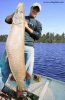 Dempsey_Musky_56'' 142cm_85cm_70+lb_2.jpg