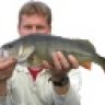 havel-walleye