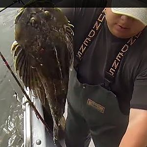 Shallow Water Rock Cod Fishing on the Ankey Street