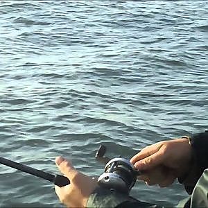 Leopard Shark fishing on San Francisco Bay