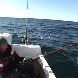 Guiding Island , Sudavik, Matthias Brill in Action, Westfjorde, Andrees-Angelreisen