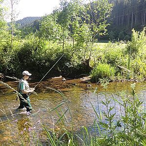 Fliegenfischen auf Forelle | Fliegenfischen im Schwarzwald | Natur genießen | Full-HD |