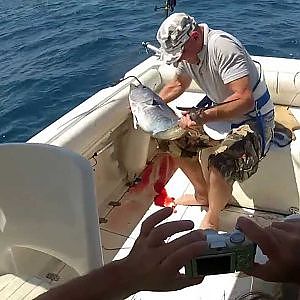 Big Game fishing in Croatia