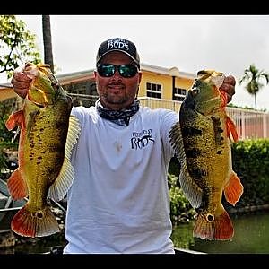 Miami Peacock Bass Fishing with Trevor of Fitzgerald Rods
