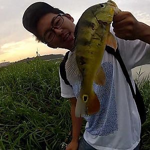 【GoPro】Fishing in Singapore!! Peacock Bass!!! 　ピーコックバスフィッシング！