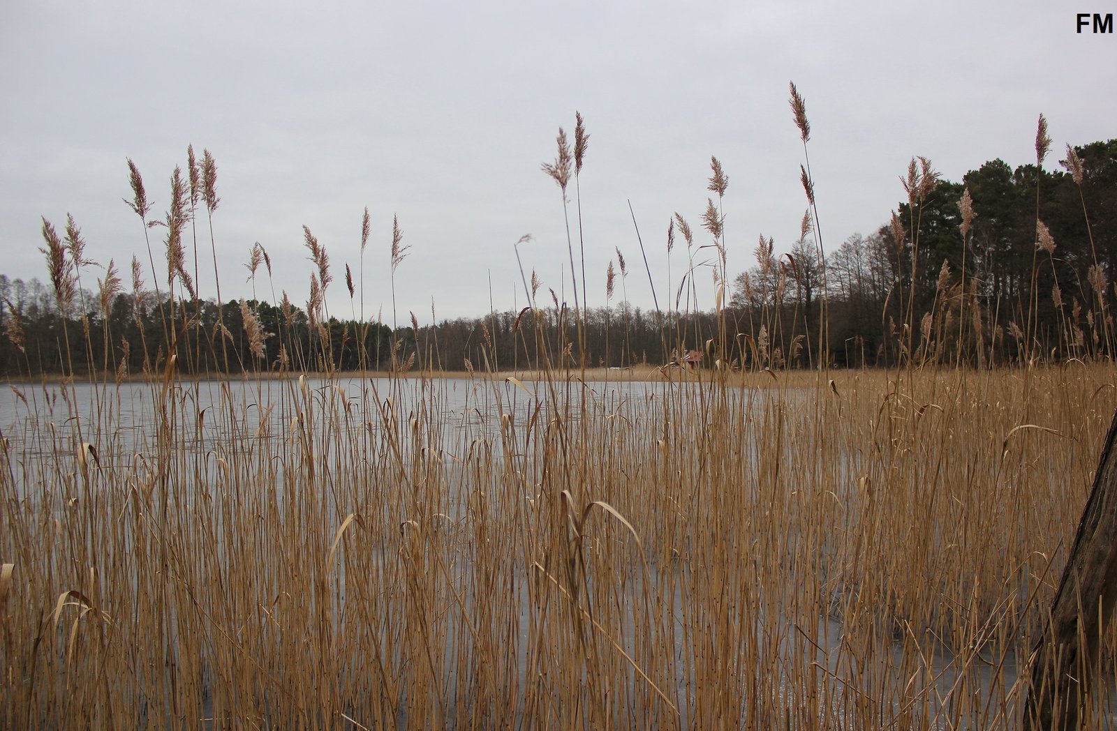 Großer Glubigsee (2).JPG