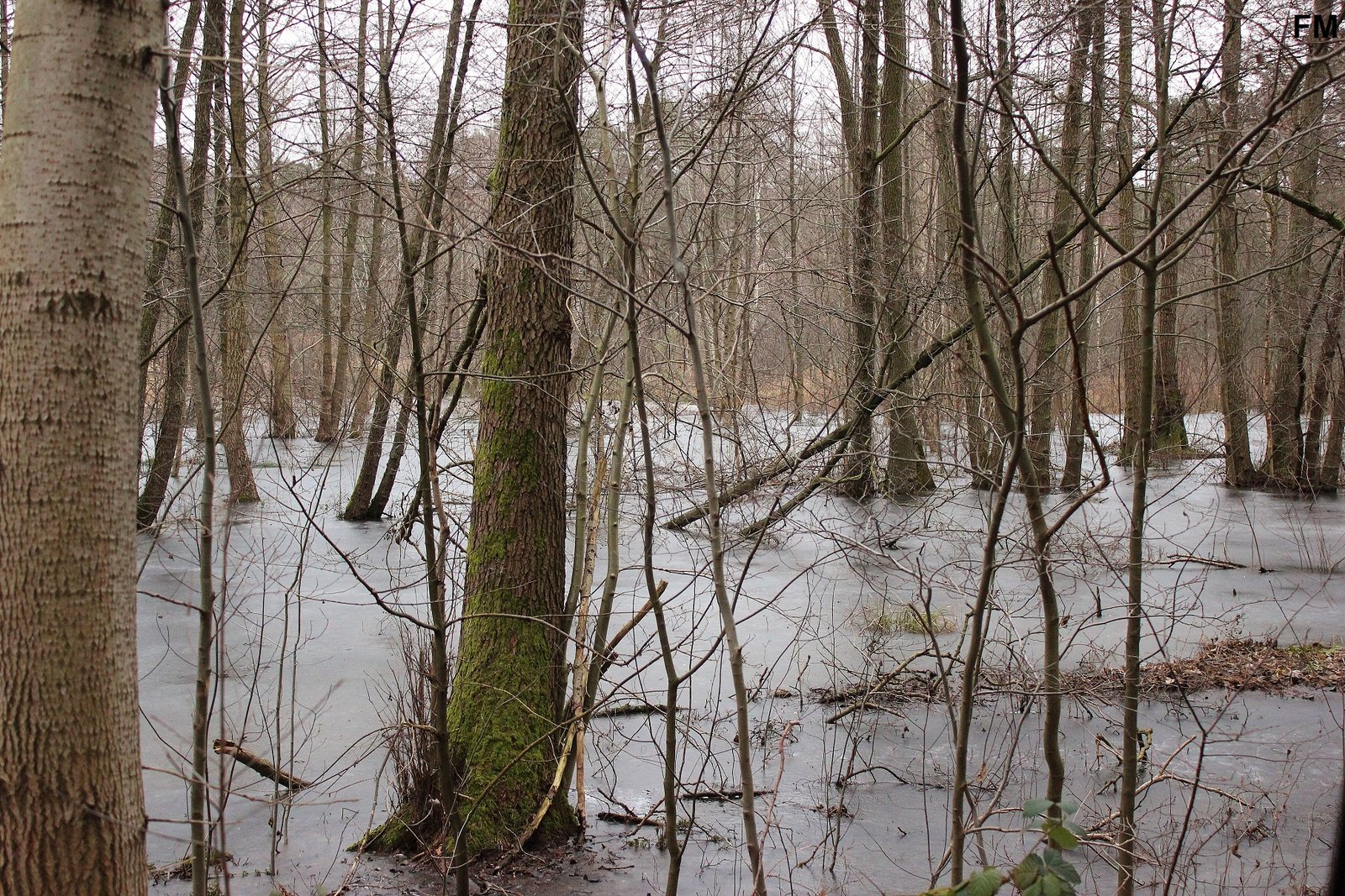 Großer Glubigsee (3).JPG