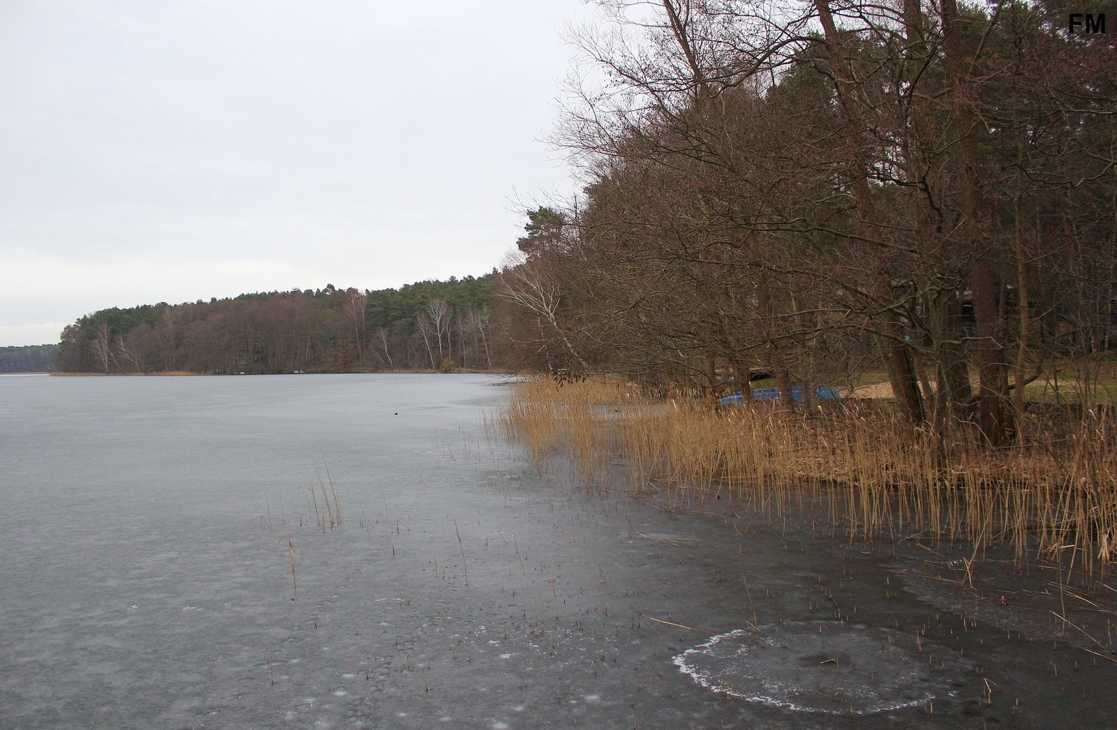 Springsee bei Limsdorf (9).JPG