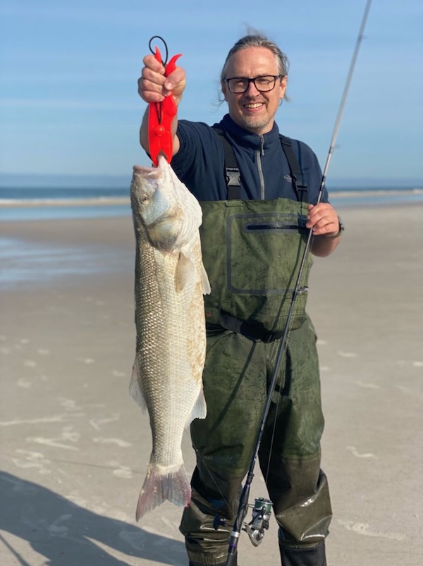 Wolfsbarsch aus der Nordsee bei Rantum auf Sylt.jpg