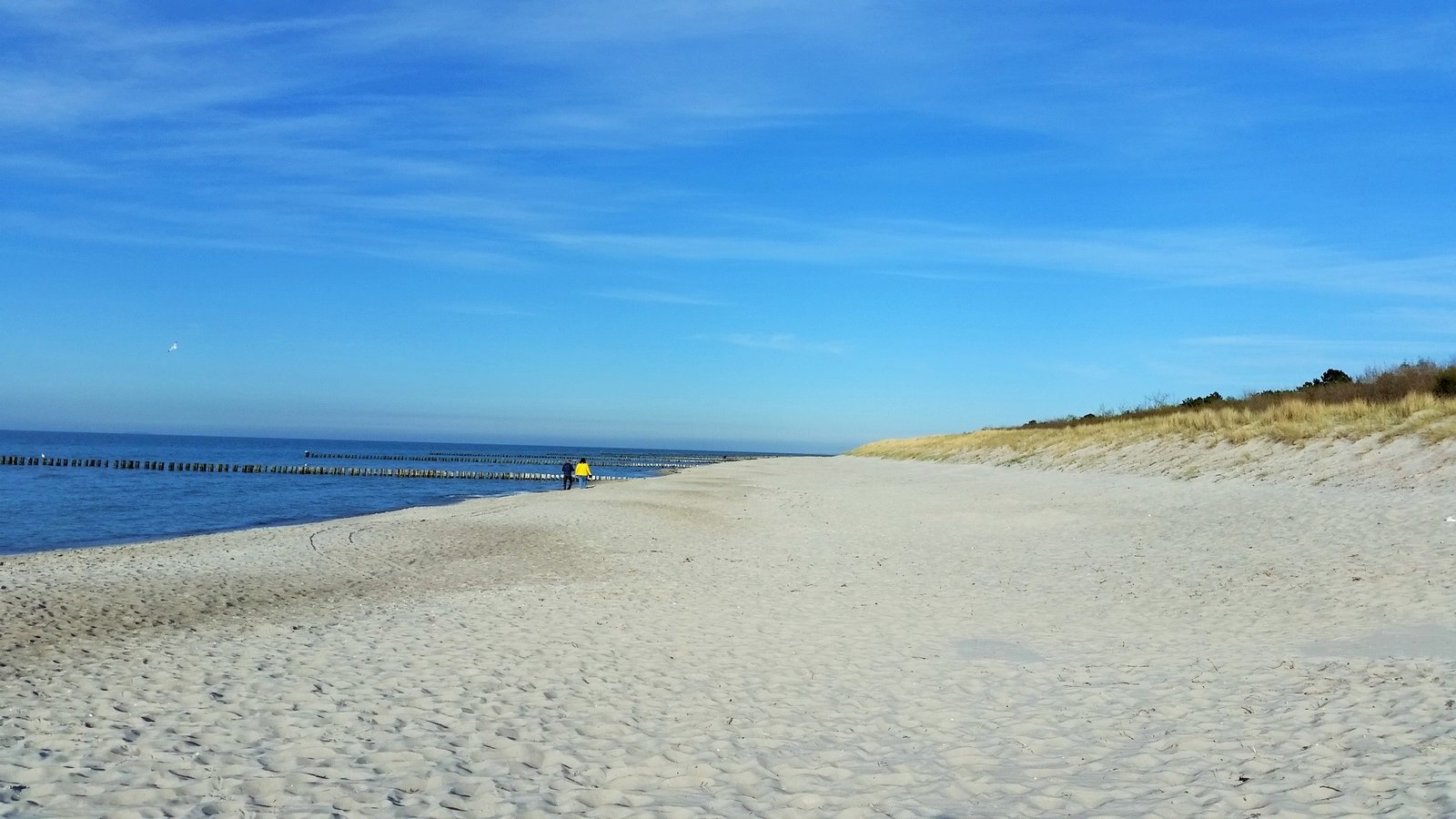 Zingst 1.jpg