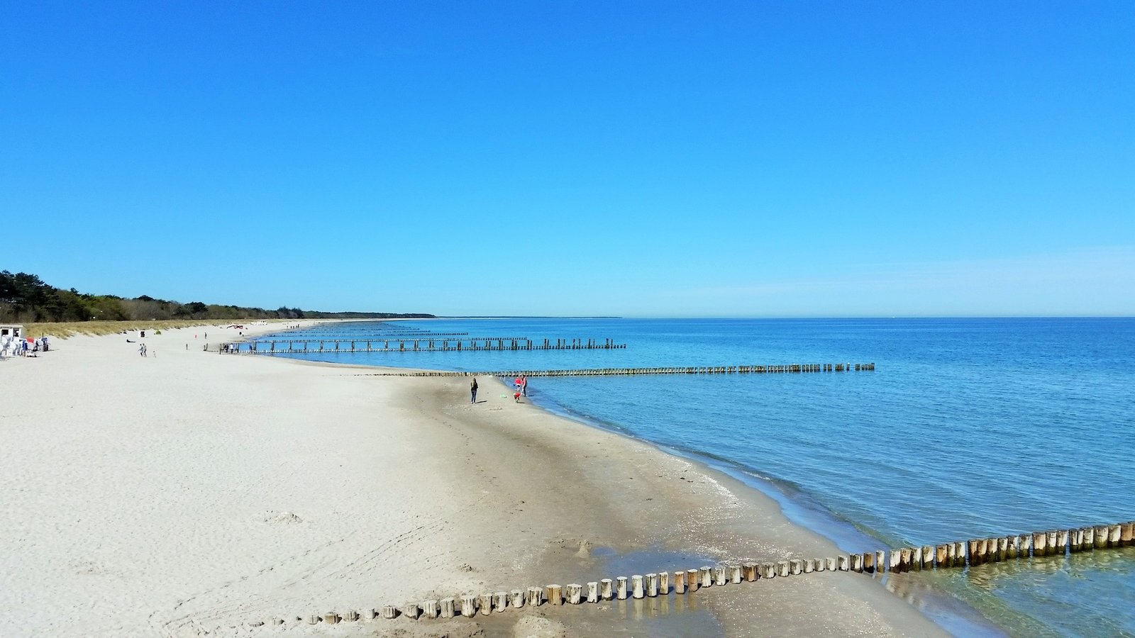 Zingst 4.jpg