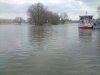 Elbe bei Aken,Hochwasser (Hafen)2.jpg