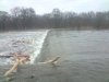 Muldewehr Dessau bei Hochwasser 3 verkleinert.jpg