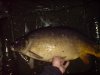 Carp 22 Pfund 80 cm.JPG