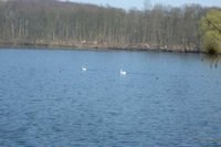 2012-03-23 Ewaldsee nach der Natoübung 019.JPG