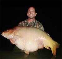 Common Carp_Cyprinus carpio.jpg