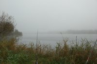 Illerkanal 2012 026.jpg