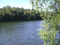 Riedlsee Unterelchingen 002.jpg