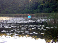 Wupatzsee bei Erkner.jpg