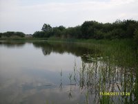 Runder See Teschow (7).JPG