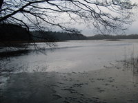 Woseriner See bei Garden (1).JPG