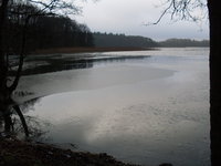 Woseriner See bei Garden (3).JPG