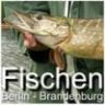 Fischenbb