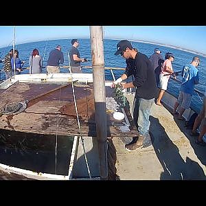 San Diego Lingcod and Halibut fishing