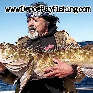 Big Ling Cod Depoe Bay