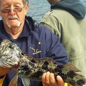 Rockfish lingcod San Francisco WWW.HOOKDUPSPORTFISHING.COM  Northern California