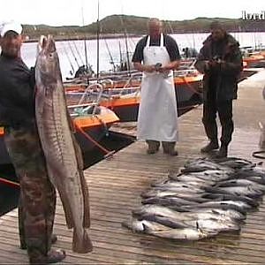 ANGELN IN NORWEGEN - HITRA , WO ANGLERTRÃ„UME WAHR WERDEN - Fishing Norge Norway