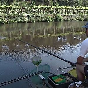 RIO AVE - Pesca à francesa *