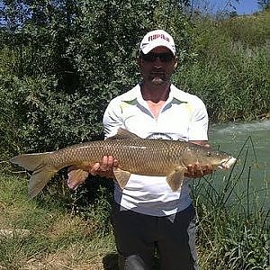 Un gran barbo de de unos 5k pescado en el río Guadiela por Judas69