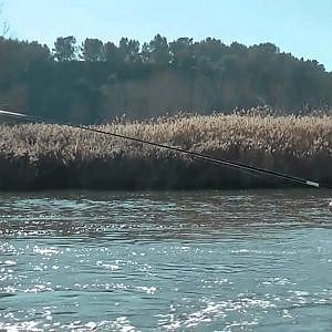 YUKI - Pesca en río a la Boloñesa