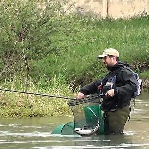 Pesca al Barbo in Sieve Trailer