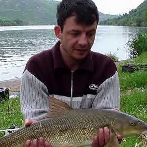 Barbenangeln an der Mosel