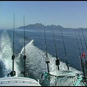 Alaska Fishing Lingcod and Giant 75 year old Yellow Eye Rocksfish/Halibut Getting Shot!