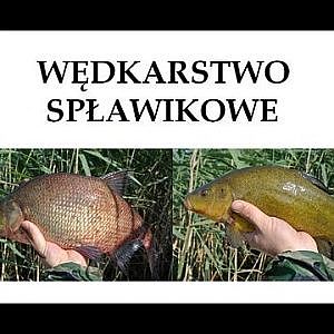 Wędkarstwo Spławikowe - Branie na Spławik - Lin, Leszcz, Wzdręga