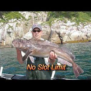 Seward Alaska Lingcod & Rockfish.mpg