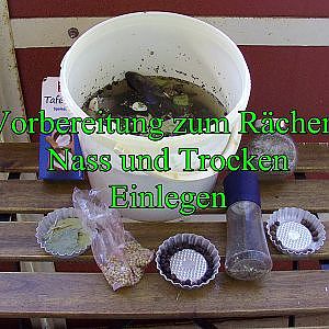 Let´s Fish Tutorial: Fisch zum Räuchern einlegen, Trocken und Nass