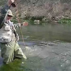 Pesca a mosca al cavedano 7