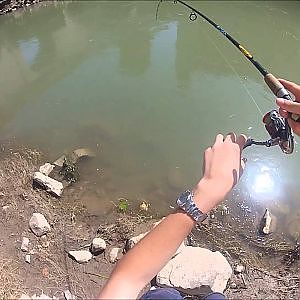 spinning ai cavedani in fiume